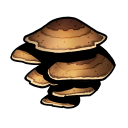 Brown Mushroom