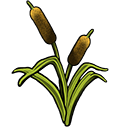 cattails_icon