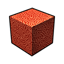 coral_icon