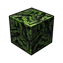 Elderwood Leaves