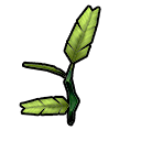 elderwood_sapling_icon