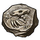 fossils_icon