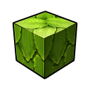 shorewood_leaves_old_icon