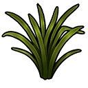 tallgrass_icon
