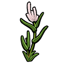 weeds_icon