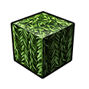 Weepwood Leaves