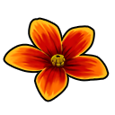 wildflower_icon