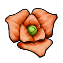 wildwood_flower_icon